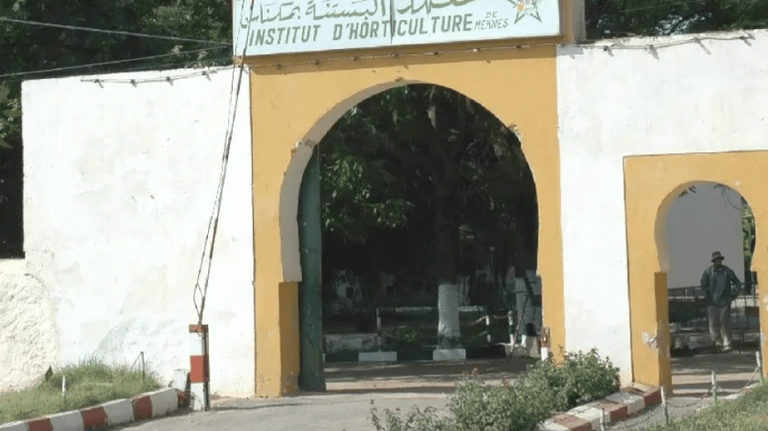 معهد التقنين المتخصصين في البستنة بمكناس (ITSH)