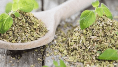 عشبة البردكيون