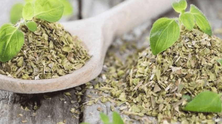 عشبة البردكيون