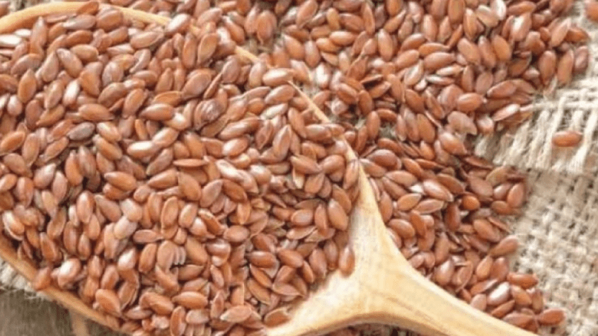 عشبة الحباسة