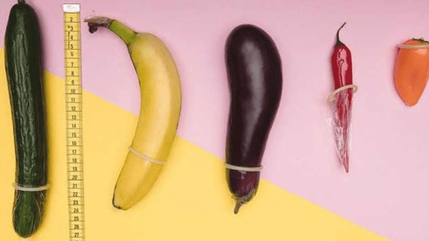 أنواع القضيب وأحجامه