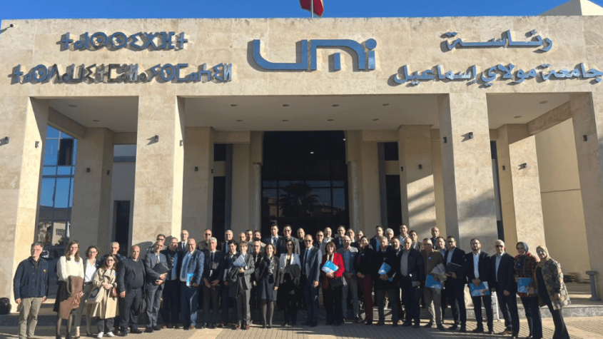 جامعة المولى إسماعيل