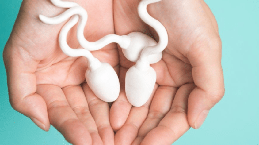 مكونات السائل المنوي عند الرجال