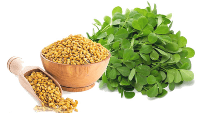 كل ما يجب أن تعرفه عن عشبة الحباسة