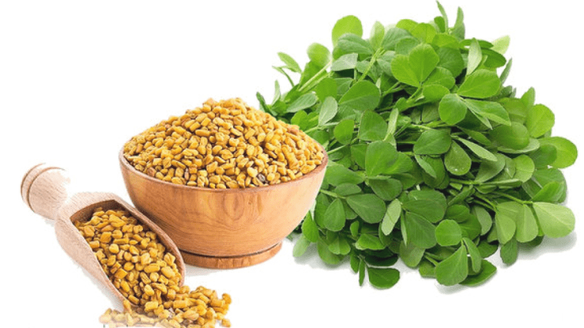 كل ما يجب أن تعرفه عن عشبة الحباسة