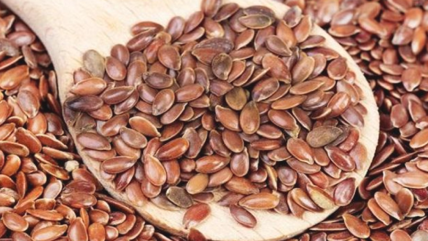 عشبة الحباسة