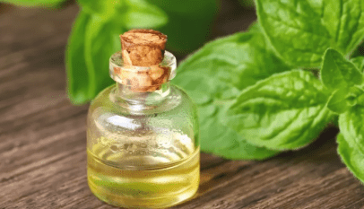 زيت الأوريجانو