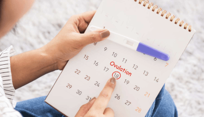 فترة الاباضة عند المراة