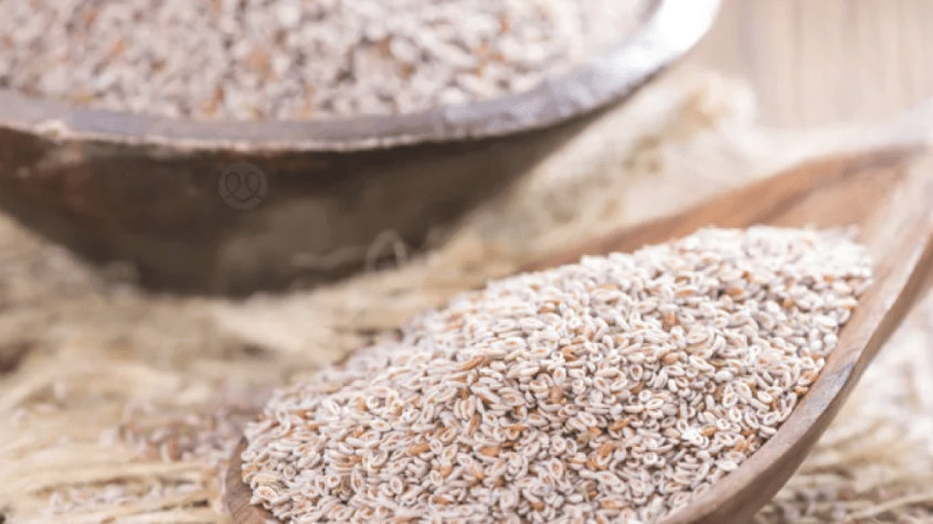 كيفية استخدام بذور القاطونة