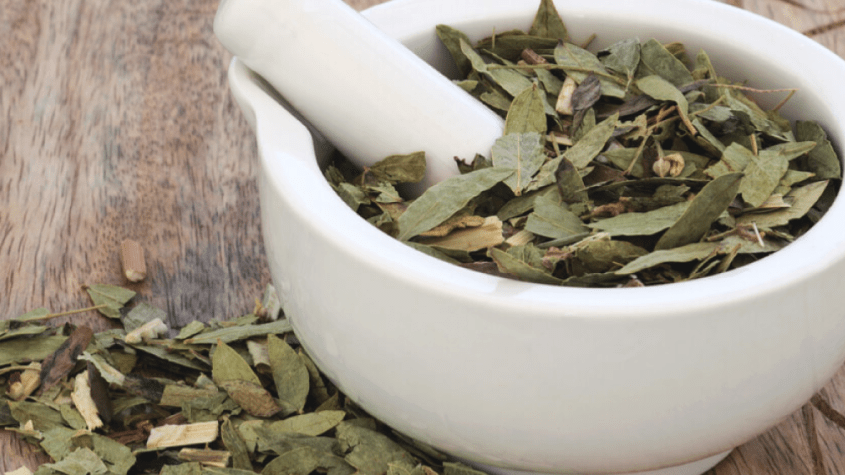 عشبة السنامكي