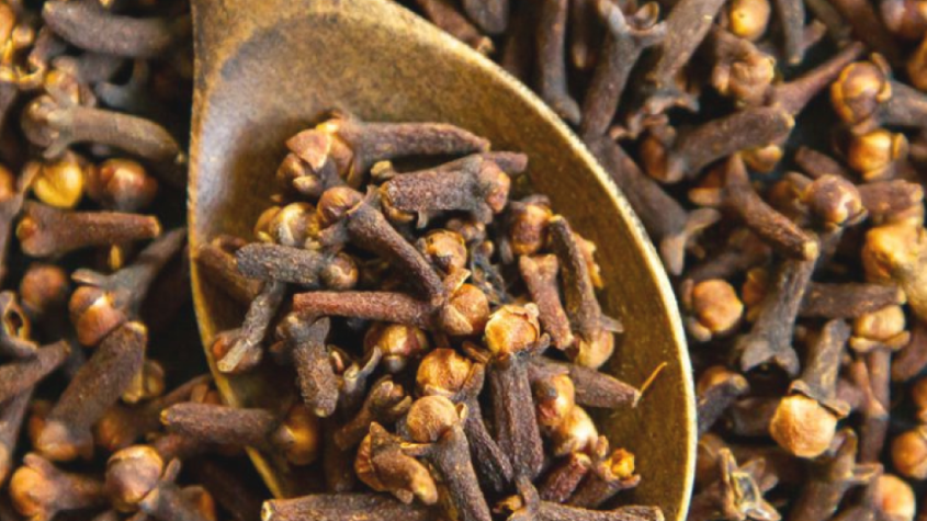 فوائد القرنفل للشعر