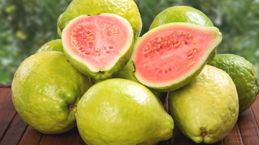 فوائد الجوافة