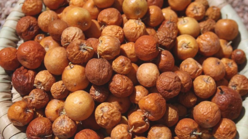 فوائد النبق