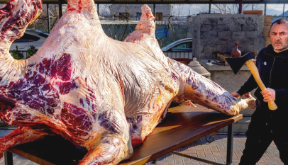 فوائد لحم الجمل