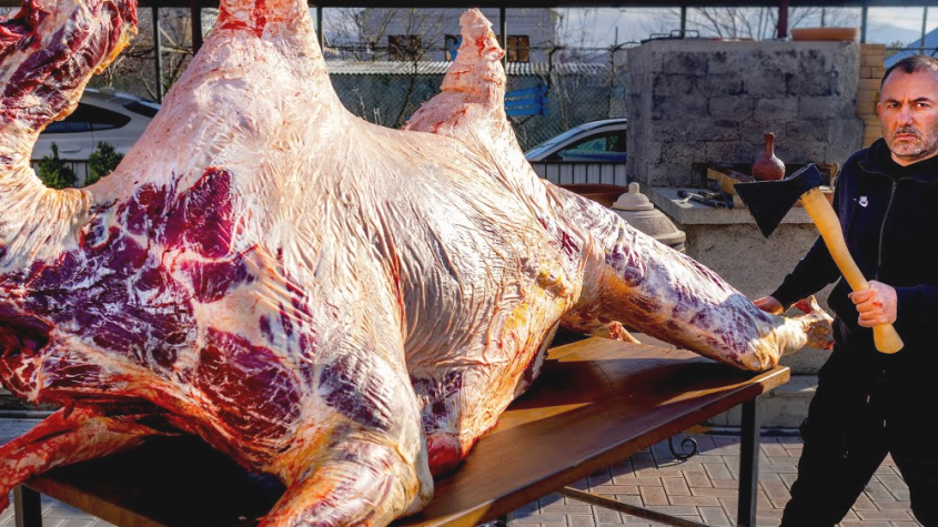 فوائد لحم الجمل