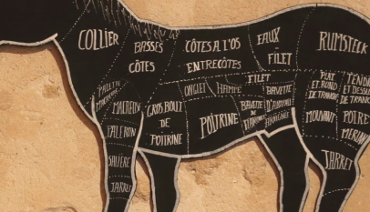 فوائد لحم الحصان