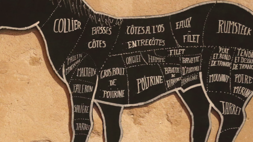 فوائد لحم الحصان