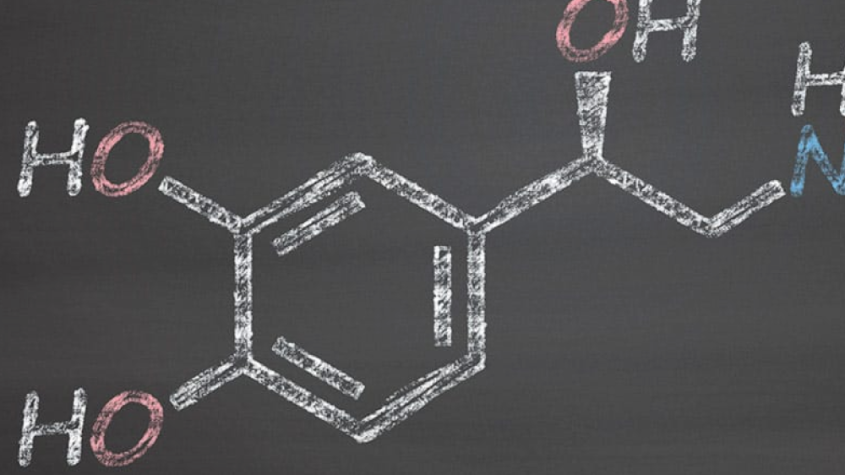 هرمون الأدرينالين