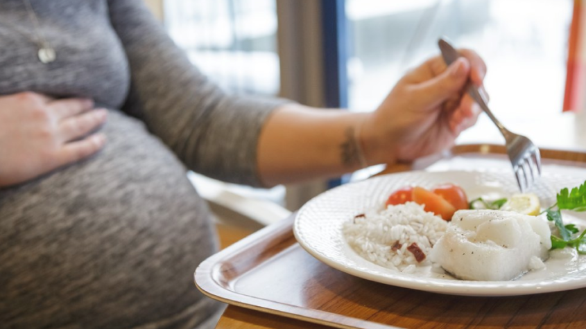 أفضل أنواع السمك للحامل