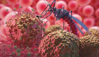 اعراض الملاريا