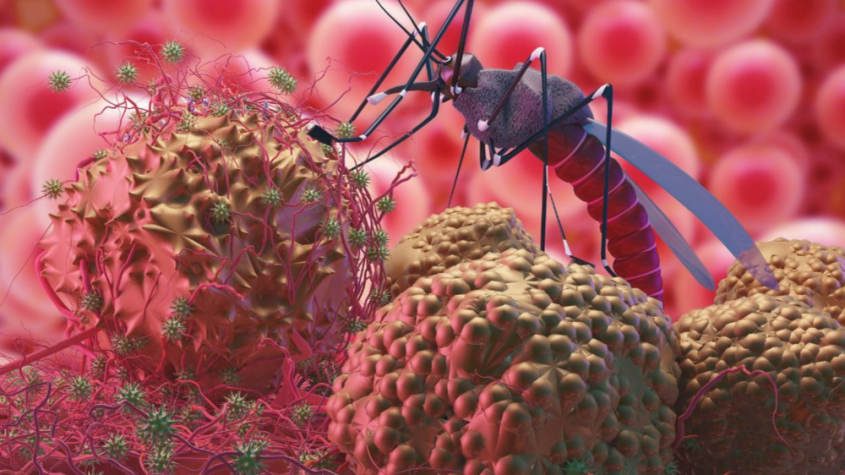 اعراض الملاريا