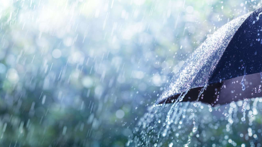 نشرة إنذارية