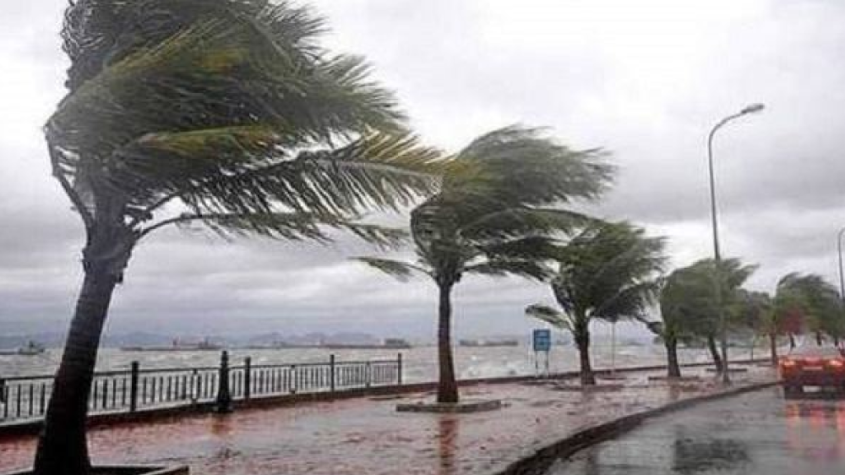 نشرة إنذارية