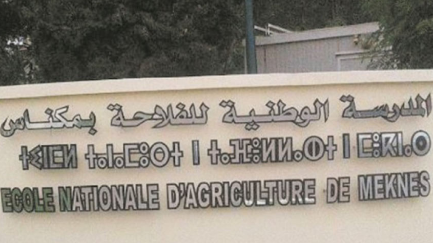 المدرسة الوطنية للفلاحة بمكناس