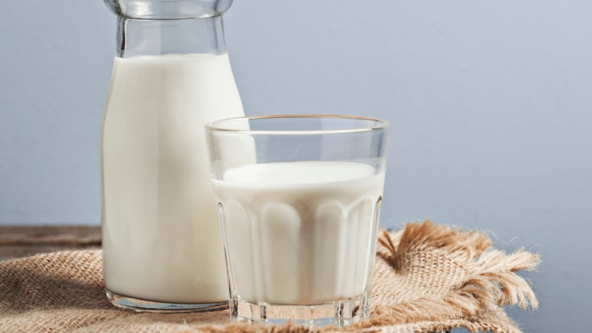 الحليب مرض السل