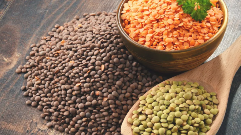 هل العدس يزيد الوزن