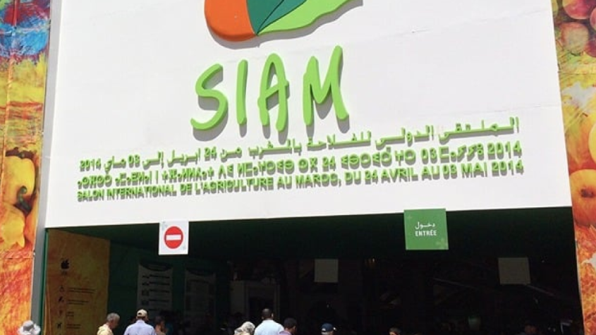 المعرض الدولي للفلاحة