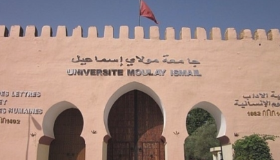 جامعة مولاي إسماعيل