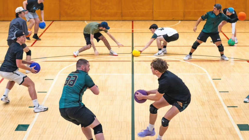 مكناس كرة المناورة