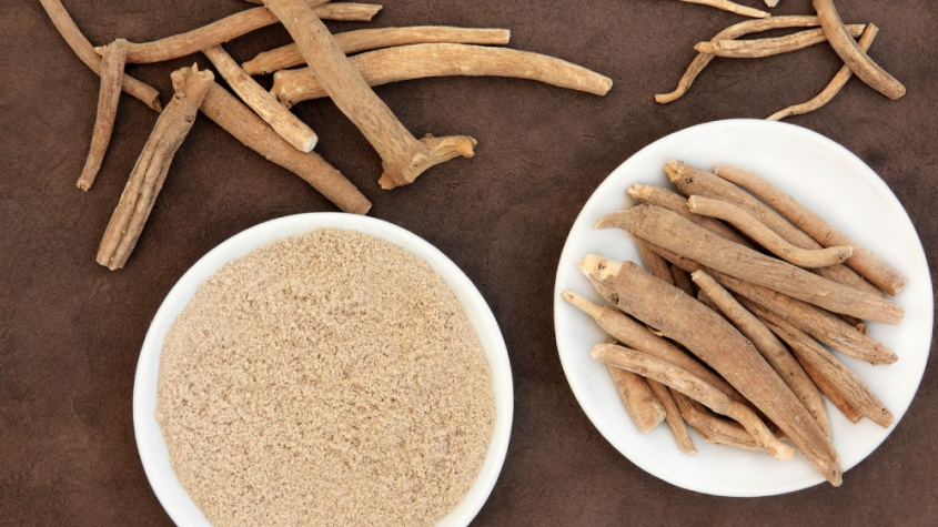 فوائد الأشواجندا – تخفيف التوتر وتحسين النشاط اليومي