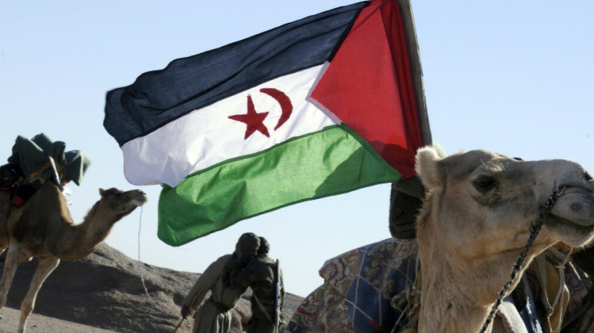 البوليساريو