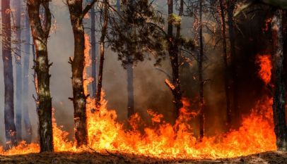 حريق شفشاون